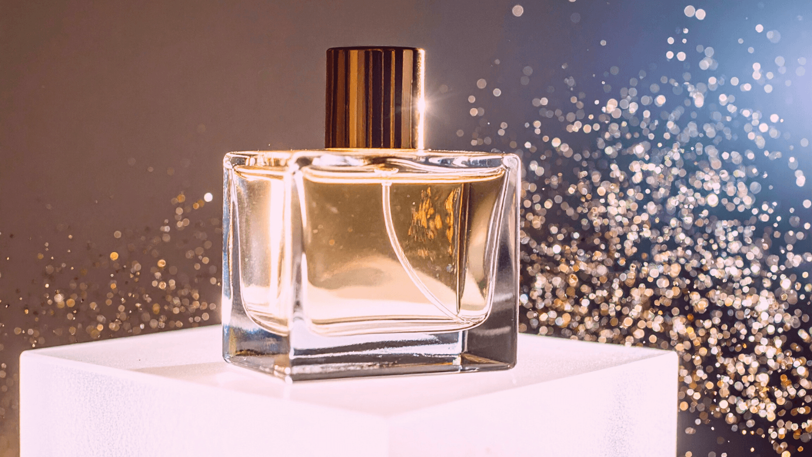 モジュール家具とホームフレグランスが置かれた、コンパクトな東京のリビングルーム